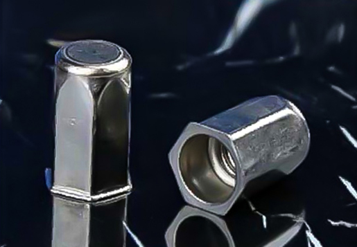 Rustfrit stål reducere hovedet fuld hex krop lukket ende